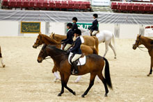 photo of hunt seat equestrian riders